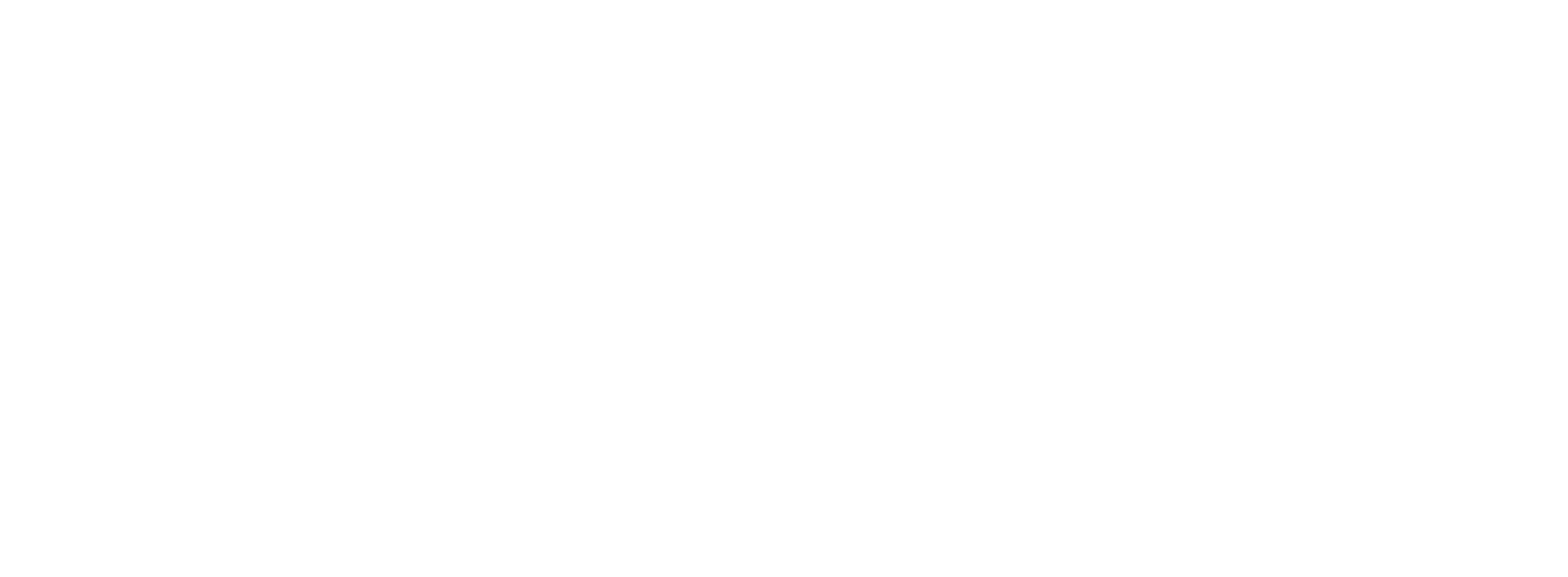 Company Logo banner